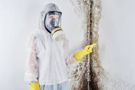 Why You Should Choose Our Mold Remediation Services in Rose Hill, KS